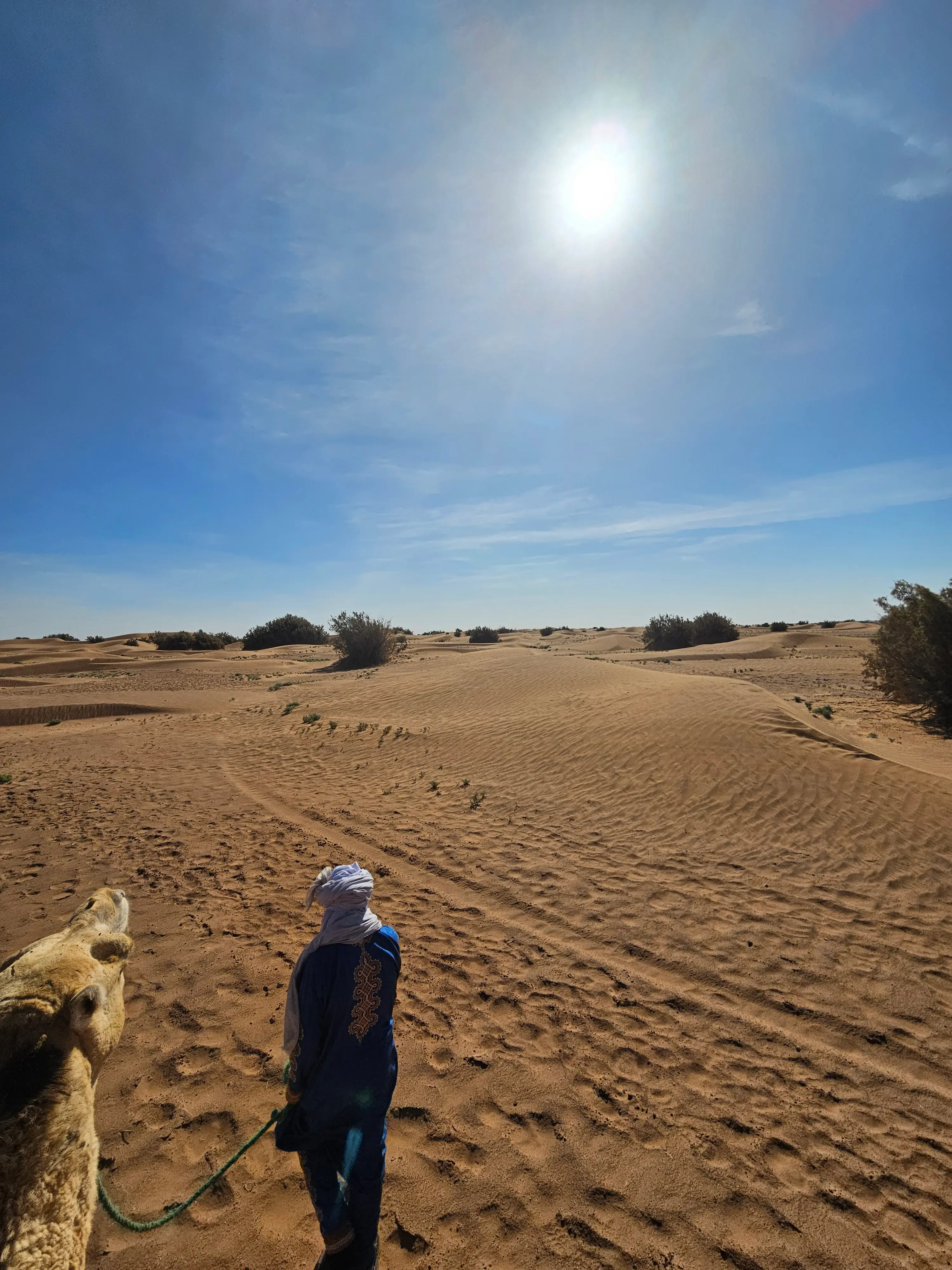 Retraite Yoga & Trek dans le désert du Sahara - photo 5