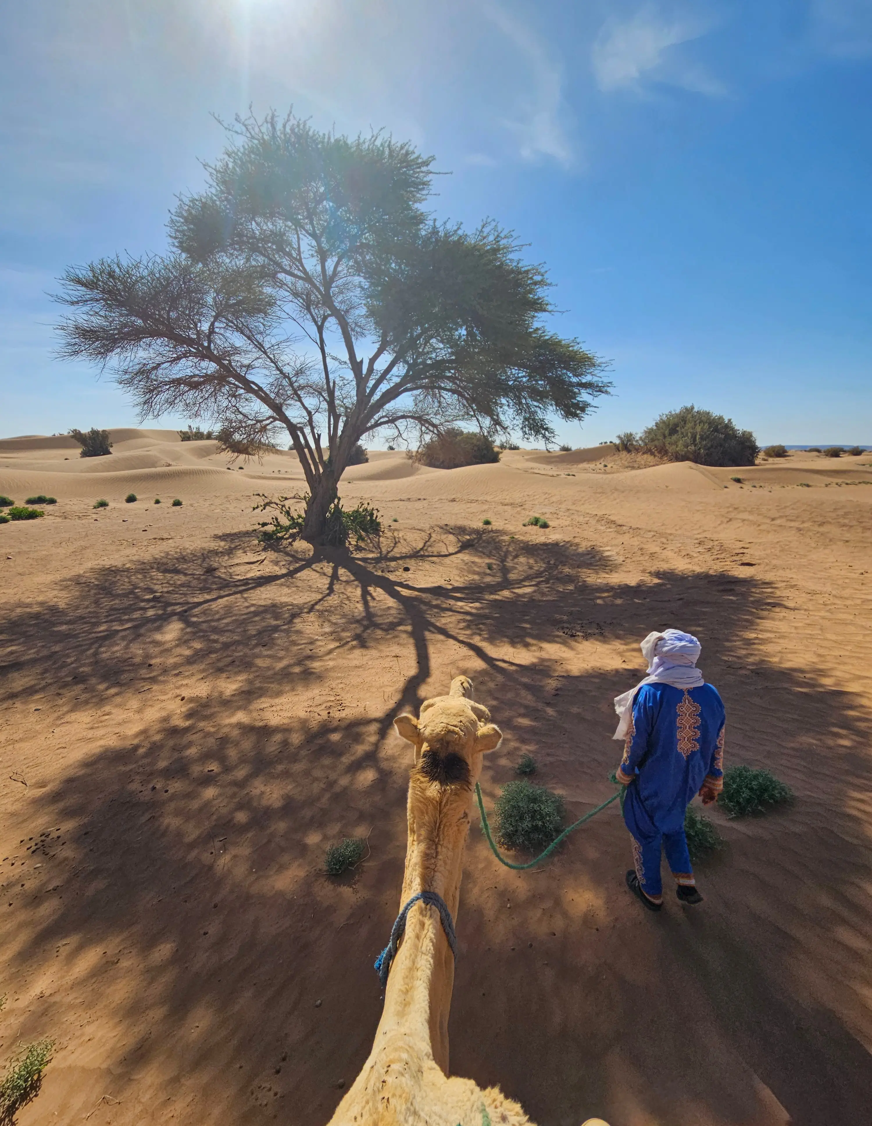 Retraite Yoga & Trek dans le désert du Sahara - photo 6